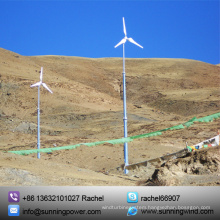 5kw Wind Turbine Generator Renewable Energy with Ce Certification